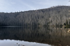 IMG_3790