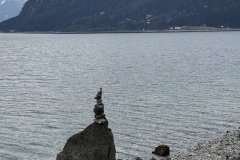 IMG_6689