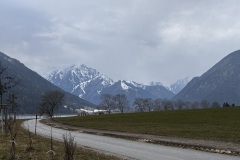 IMG_6753