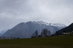 IMG_6754