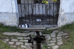 IMG_7495