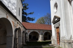 IMG_7504