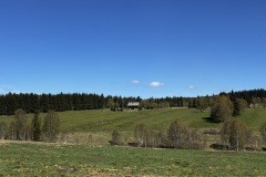 IMG_7980