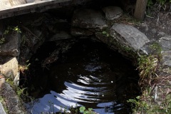 IMG_7982