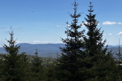 IMG_8026
