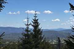IMG_8031