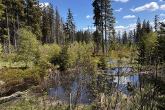 IMG_8051
