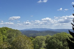 IMG_8063