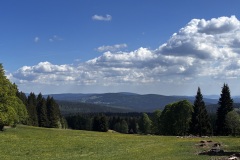 IMG_8070