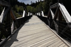 IMG_8181