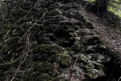 IMG_8093