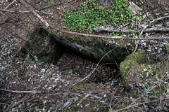 IMG_8098