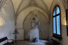 IMG_8255