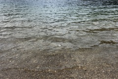 IMG_8281