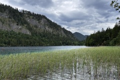 IMG_8289