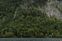 IMG_8290