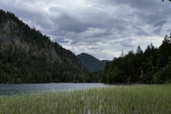 IMG_8291