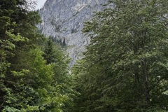 IMG_8313