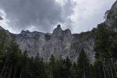 IMG_8314