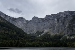 IMG_8320