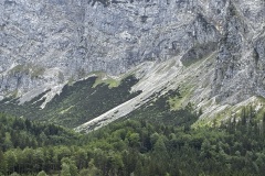 IMG_8323