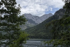IMG_8325