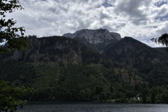 IMG_8327