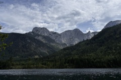 IMG_8331