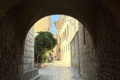 IMG_8760