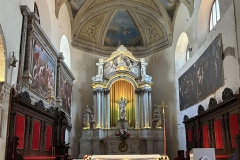 IMG_8769