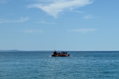 IMG_8801