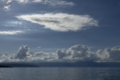 IMG_8479