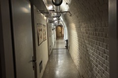 IMG_9494