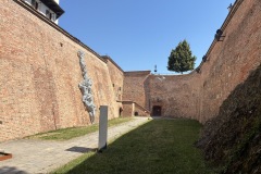 IMG_9753