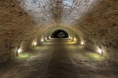IMG_9762