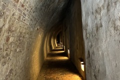 IMG_9768