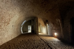 IMG_9784