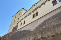 IMG_9798