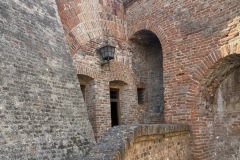 IMG_9805
