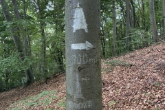 IMG_0056