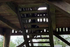 IMG_0066