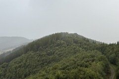 IMG_0081