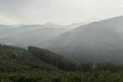 IMG_0089
