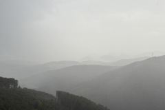 IMG_0091